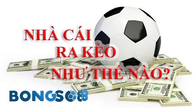 Nhà cái dựa vào đâu để ra kèo?